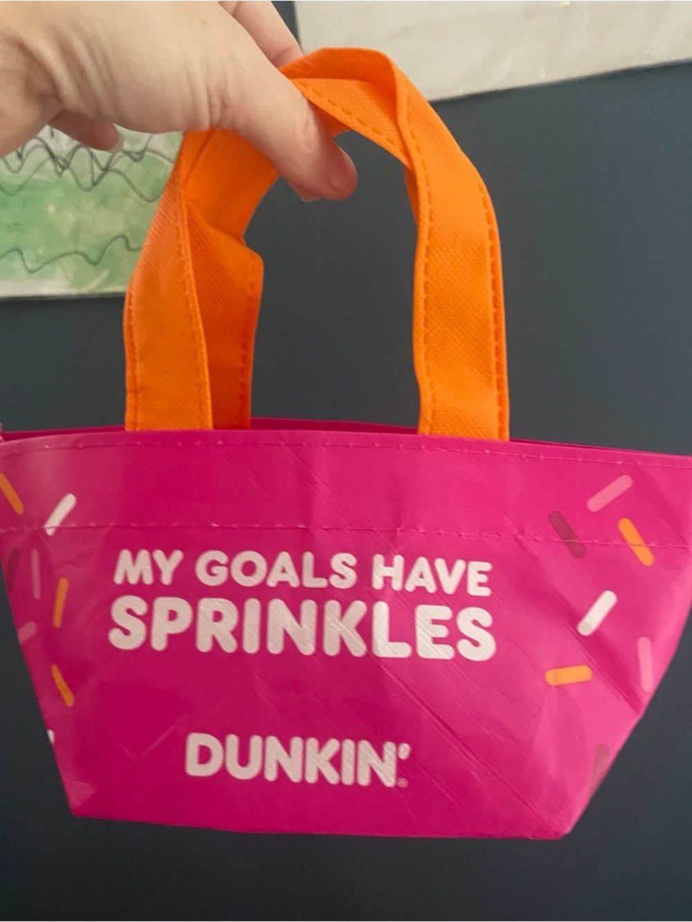 Dunkin’ Donuts collectible donut bag #2819
